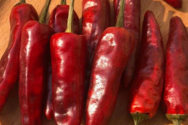 种植子弹头辣椒的要点，播种前需将种子晾晒2-3天