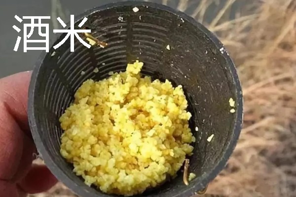 六月钓鱼技巧，首选钓点是树荫下