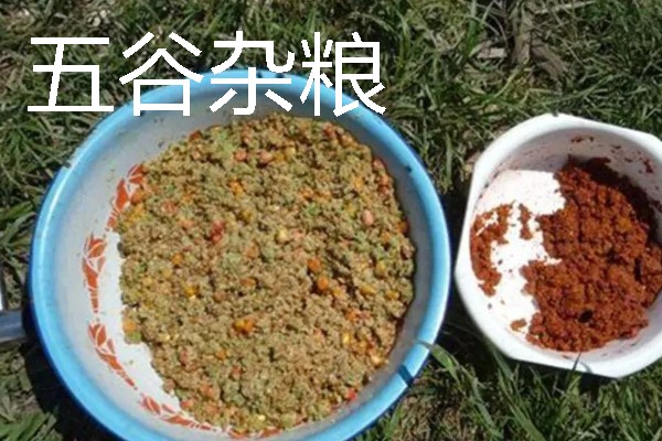 六月钓鱼技巧，首选钓点是树荫下
