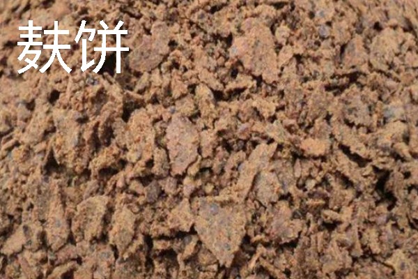 六月钓鱼技巧，首选钓点是树荫下