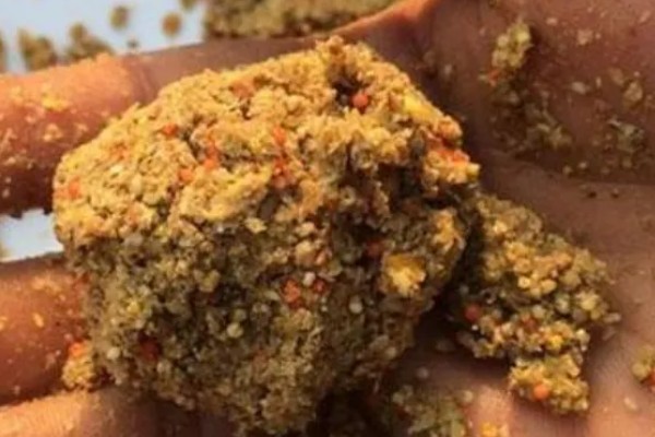六月钓鱼技巧，首选钓点是树荫下