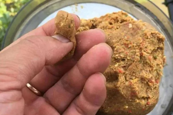 六月钓鱼技巧，首选钓点是树荫下