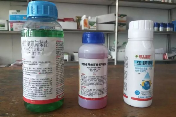 怎样鉴别农药的药效，可采用以下3种方法