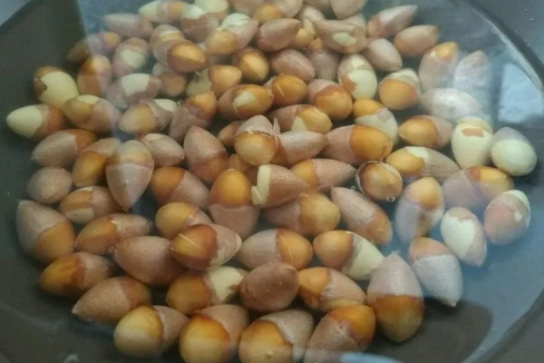 怎么吃银杏果，可做甜菜或搭配粉葛丁吃
