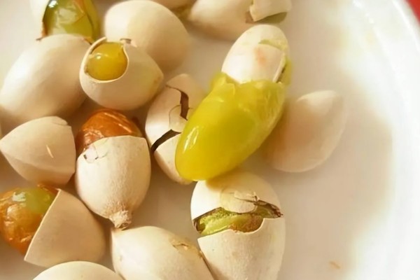 怎么吃银杏果，可做甜菜或搭配粉葛丁吃