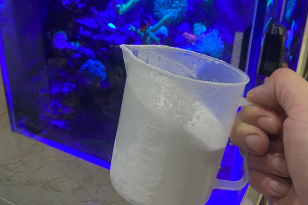 鱼缸每次换水后都要加盐吗，并不是都要加盐的
