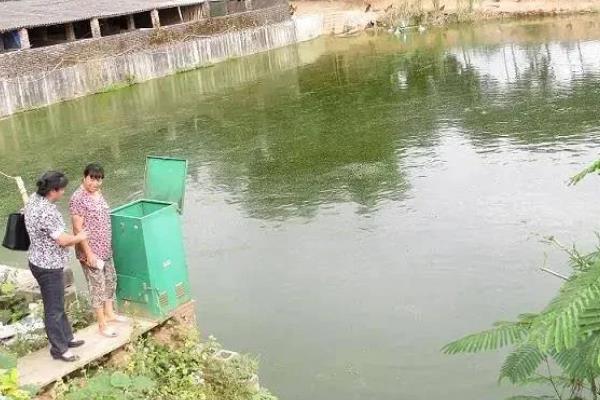 鱼种越冬死亡的原因，可能是水体缺氧所致