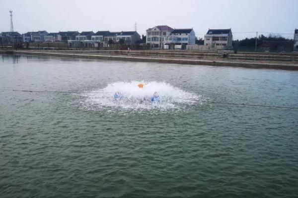 鱼种越冬死亡的原因，可能是水体缺氧所致