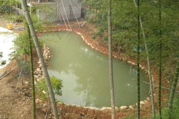 鱼种越冬死亡的原因，可能是水体缺氧所致