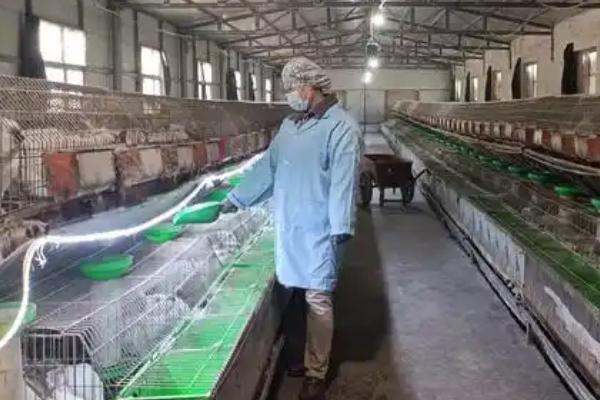 兔舍的建造方法，可以建成单列式或双列式