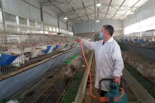 兔舍的建造方法，可以建成单列式或双列式