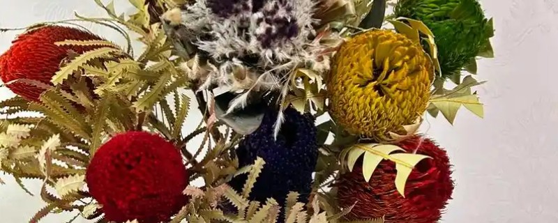 干花和鲜花有什么区别，手感和保存时间均不同