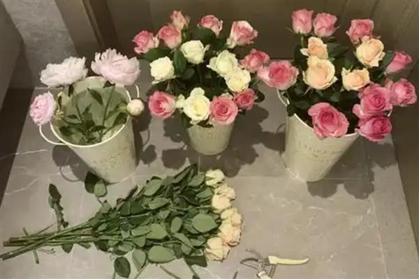 干花和鲜花有什么区别，手感和保存时间均不同
