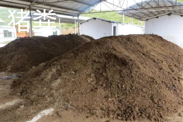 贵州优良的畜禽品种，有关岭黄牛、威宁绵羊等