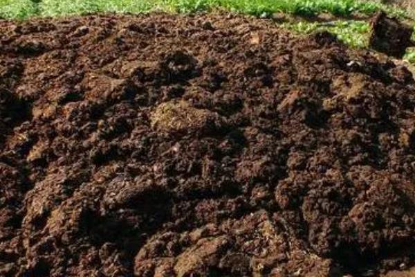 贵州优良的畜禽品种，有关岭黄牛、威宁绵羊等