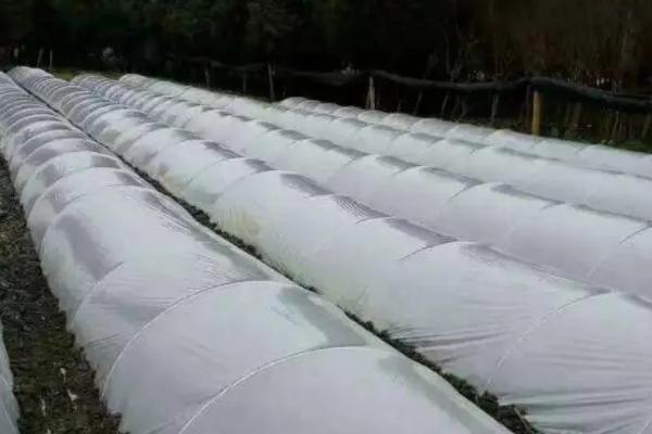 10丝大棚膜可以用几年，有效使用期是1-2年