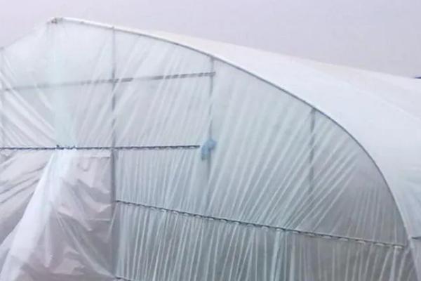 10丝大棚膜可以用几年，有效使用期是1-2年