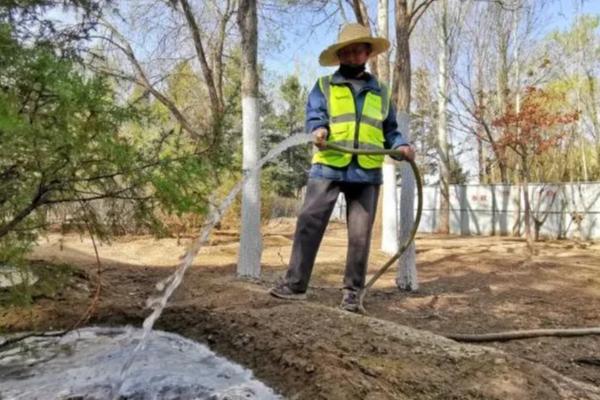 保护树木有哪些方法，夏季每隔2-3天浇一次水