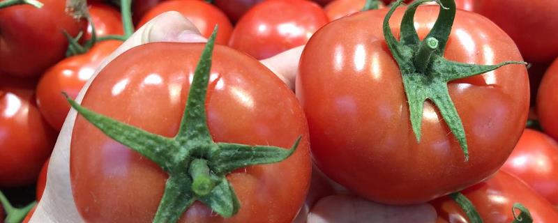 宁夏青铜峡市的特产，有酿酒葡萄、宁夏红花等