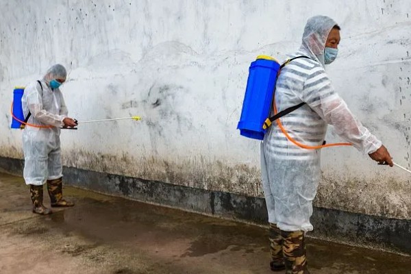 猪舍中药烟熏消毒的方法，可使用艾叶粉、烟熏散点燃