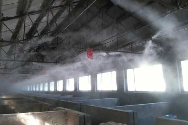 猪舍中药烟熏消毒的方法，可使用艾叶粉、烟熏散点燃