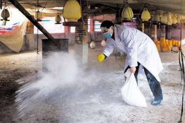 猪舍中药烟熏消毒的方法，可使用艾叶粉、烟熏散点燃