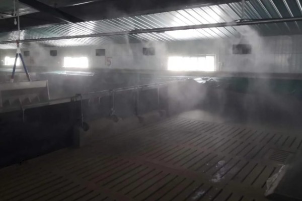 猪舍中药烟熏消毒的方法，可使用艾叶粉、烟熏散点燃