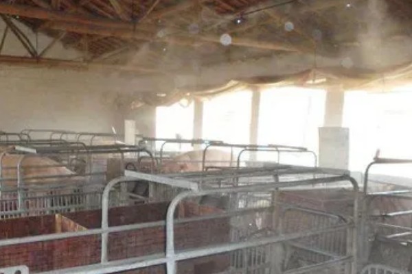 猪舍中药烟熏消毒的方法，可使用艾叶粉、烟熏散点燃