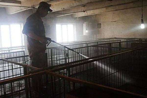 猪舍中药烟熏消毒的方法，可使用艾叶粉、烟熏散点燃