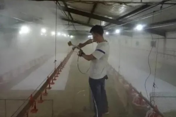 猪舍中药烟熏消毒的方法，可使用艾叶粉、烟熏散点燃