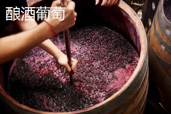 宁夏青铜峡市的特产，有酿酒葡萄、宁夏红花等