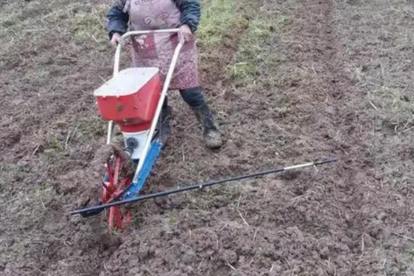 烧种到底是什么原因造成的，可能是尿素溶液的浓度过高所致