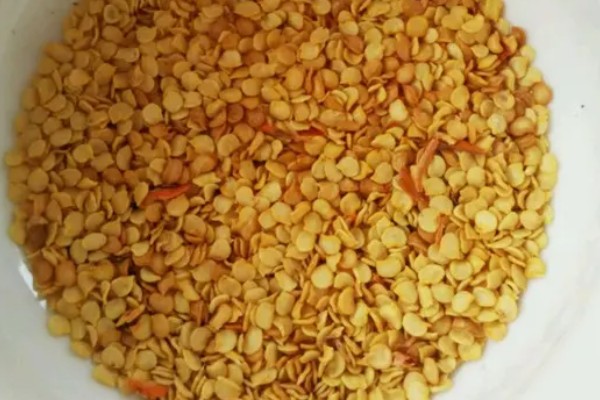 辣椒的育苗技术，育苗方法以播种为主