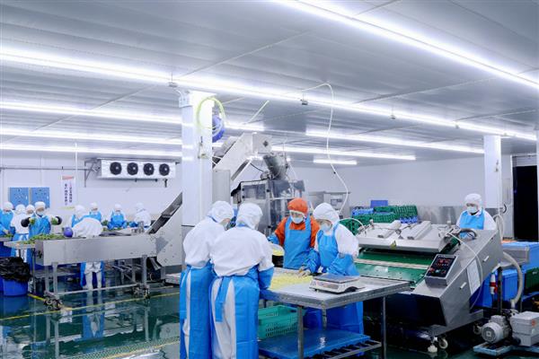 在农村适合开什么小型厂，推荐有机肥加工厂、小型制香厂等