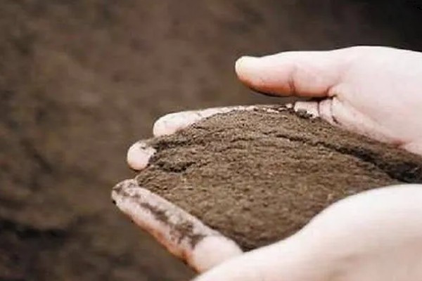 土壤酸化的原因,可能是长期大水漫灌导致的