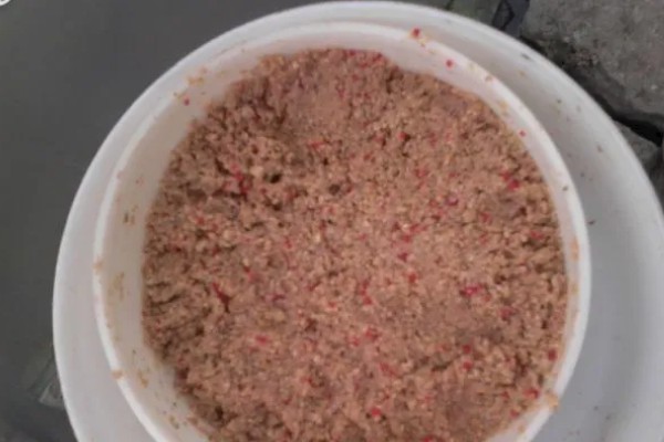 纯养鲫鱼用什么饲料，推荐天然饵料、人工饲料等