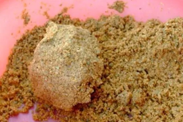 纯养鲫鱼用什么饲料，推荐天然饵料、人工饲料等