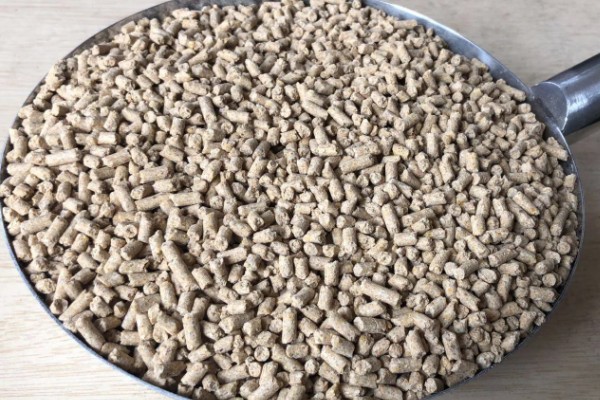 纯养鲫鱼用什么饲料，推荐天然饵料、人工饲料等