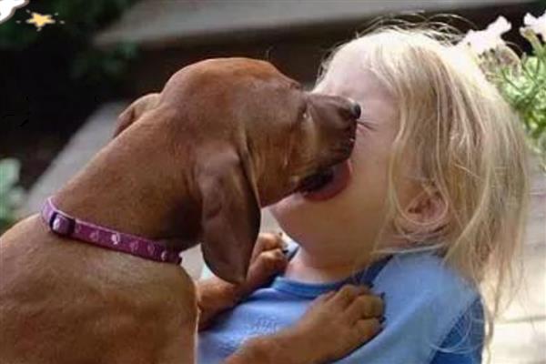 狗狗爱你的表现，会表现出喜欢靠着你、喜欢给你东西等