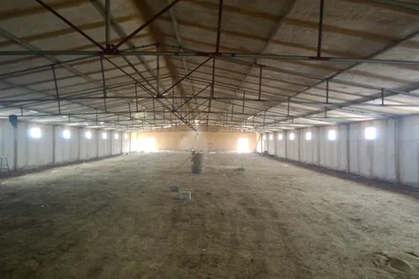 蛋鸭养殖的夜间管理方式,首先需要保持安静