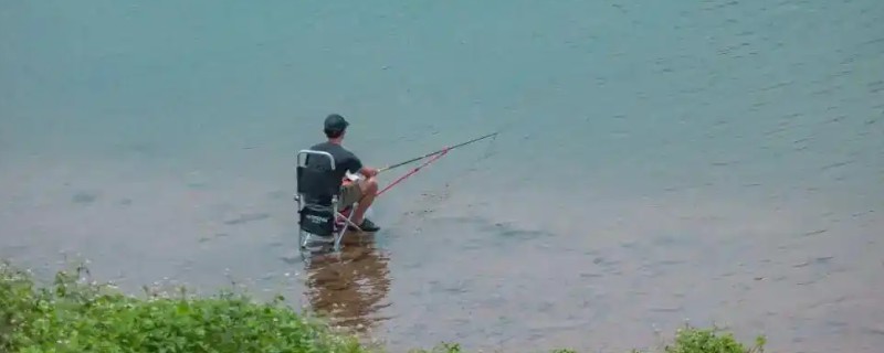鲢鳙浮钓还是底钓，浮钓的方式比较合适