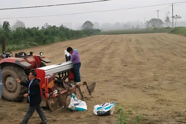 八棱瓜的种植方法，浸种后每穴播种两粒