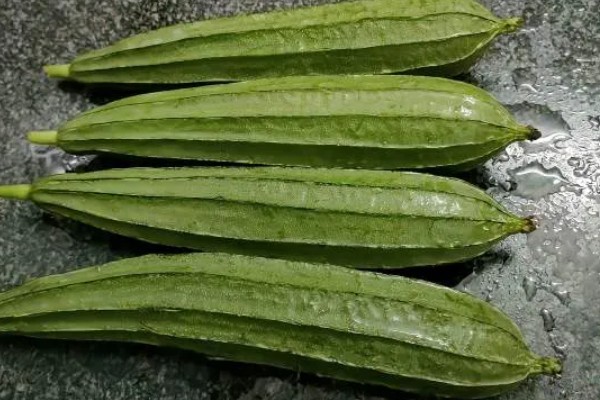 八棱瓜的种植方法，浸种后每穴播种两粒