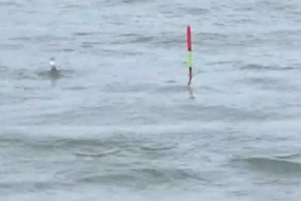 鲢鳙浮钓还是底钓，浮钓的方式比较合适