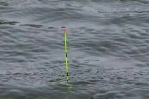 鲢鳙浮钓还是底钓，浮钓的方式比较合适