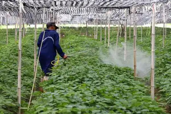 溴氰菊酯的用途有哪些，可防治农业害虫、仓库害虫等