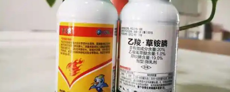 乙羧草铵膦除草剂的作用，能防除葎草、铁苋菜、牛筋草等