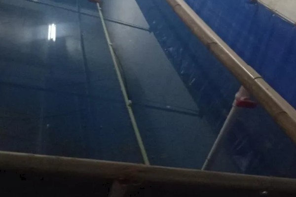 怎么养澳洲淡水小龙虾，每天投饵3-5次