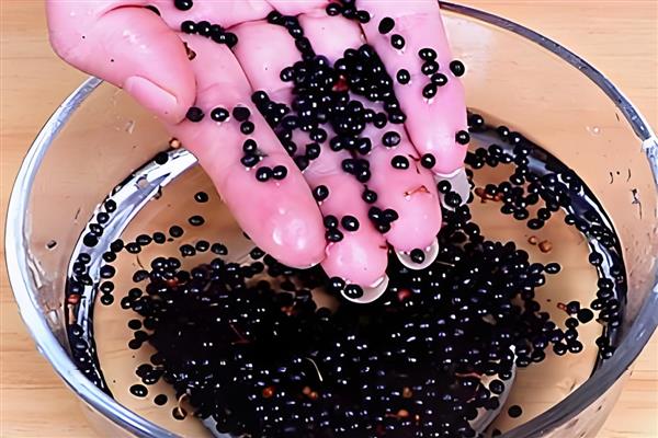 花椒种子的盆栽方法，等土壤干燥后再浇透水