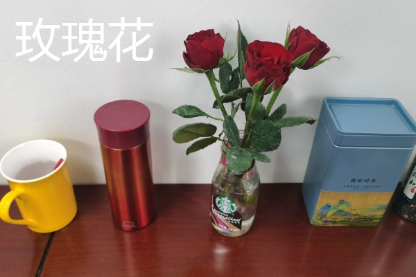 看病人适合送什么花，推荐康乃馨、百合花等